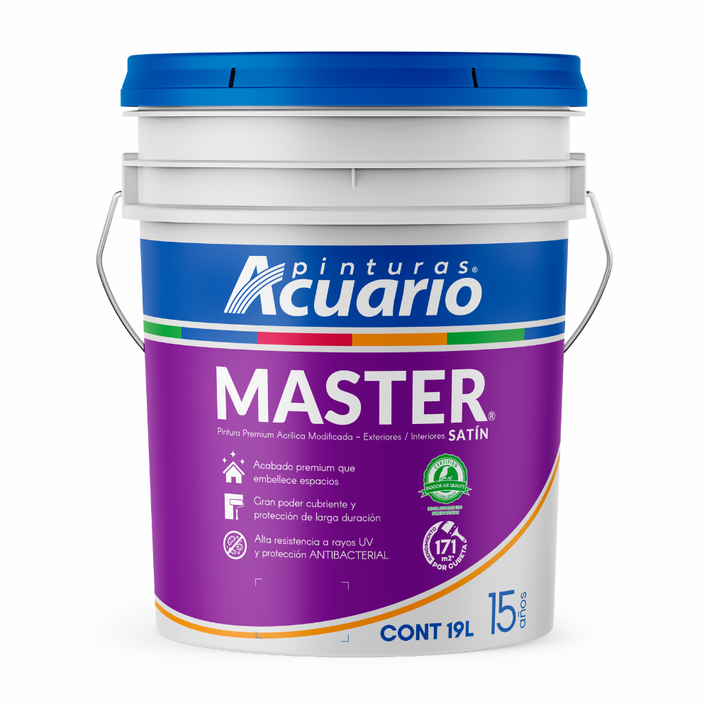 PINTURA  MASTER 15 AÑOS